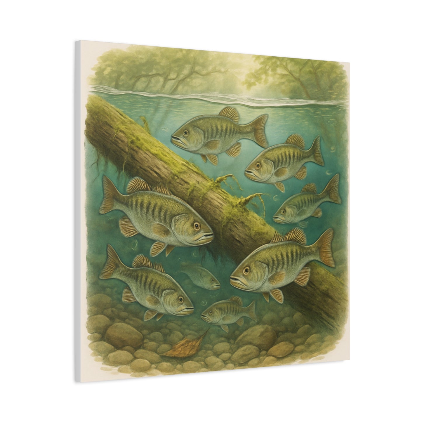Creek Style™   Underwater Bass Canvas Art Print