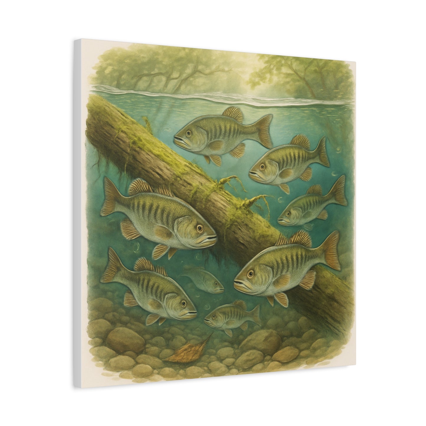 Creek Style™   Underwater Bass Canvas Art Print