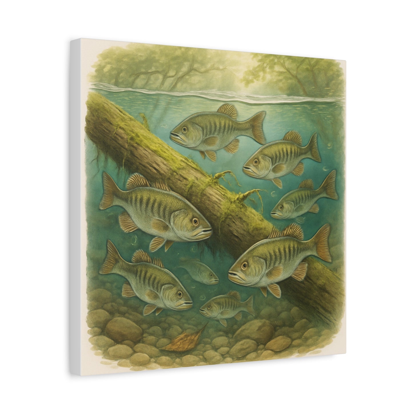 Creek Style™   Underwater Bass Canvas Art Print