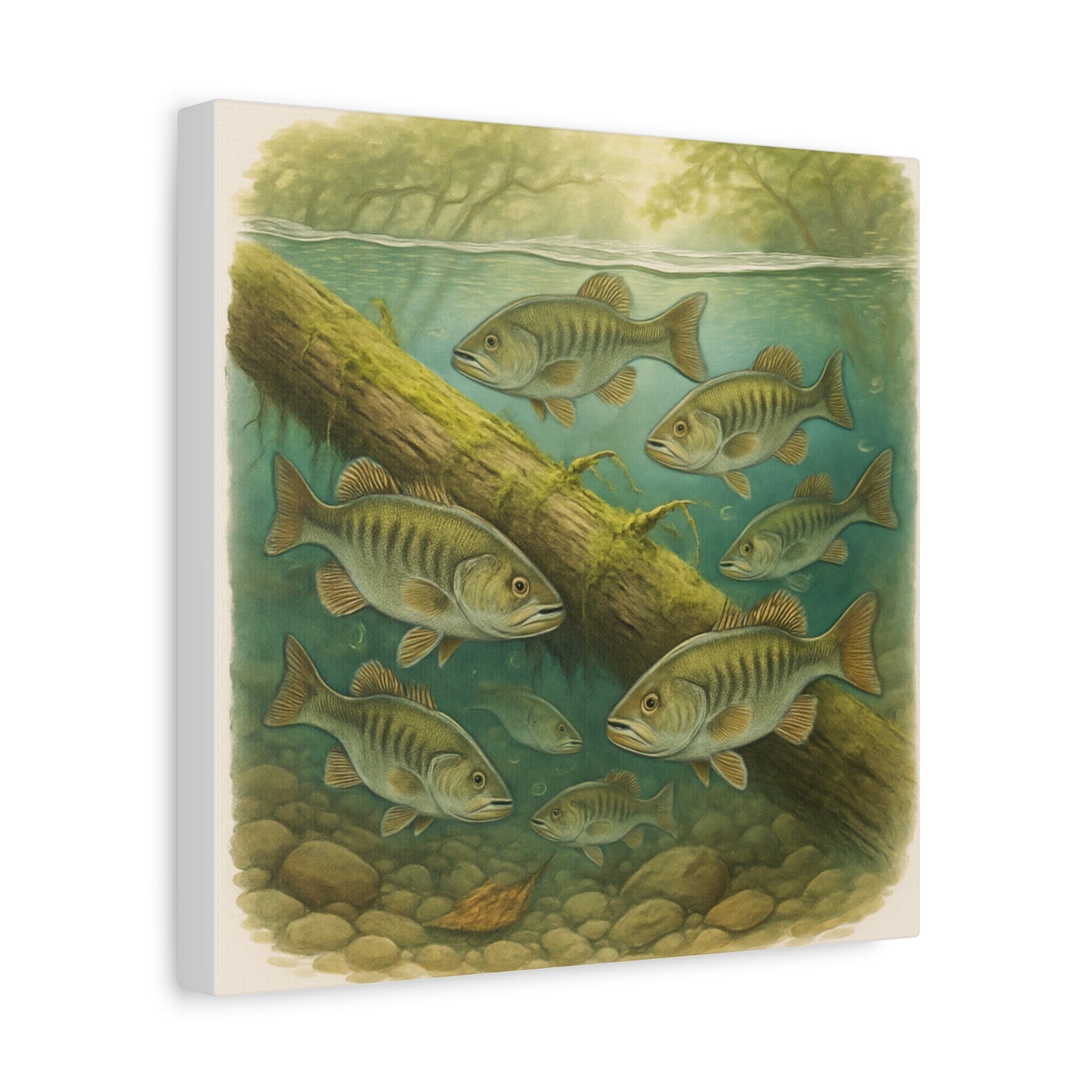 Creek Style™   Underwater Bass Canvas Art Print