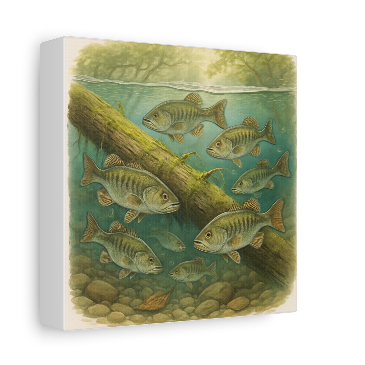 Creek Style™   Underwater Bass Canvas Art Print
