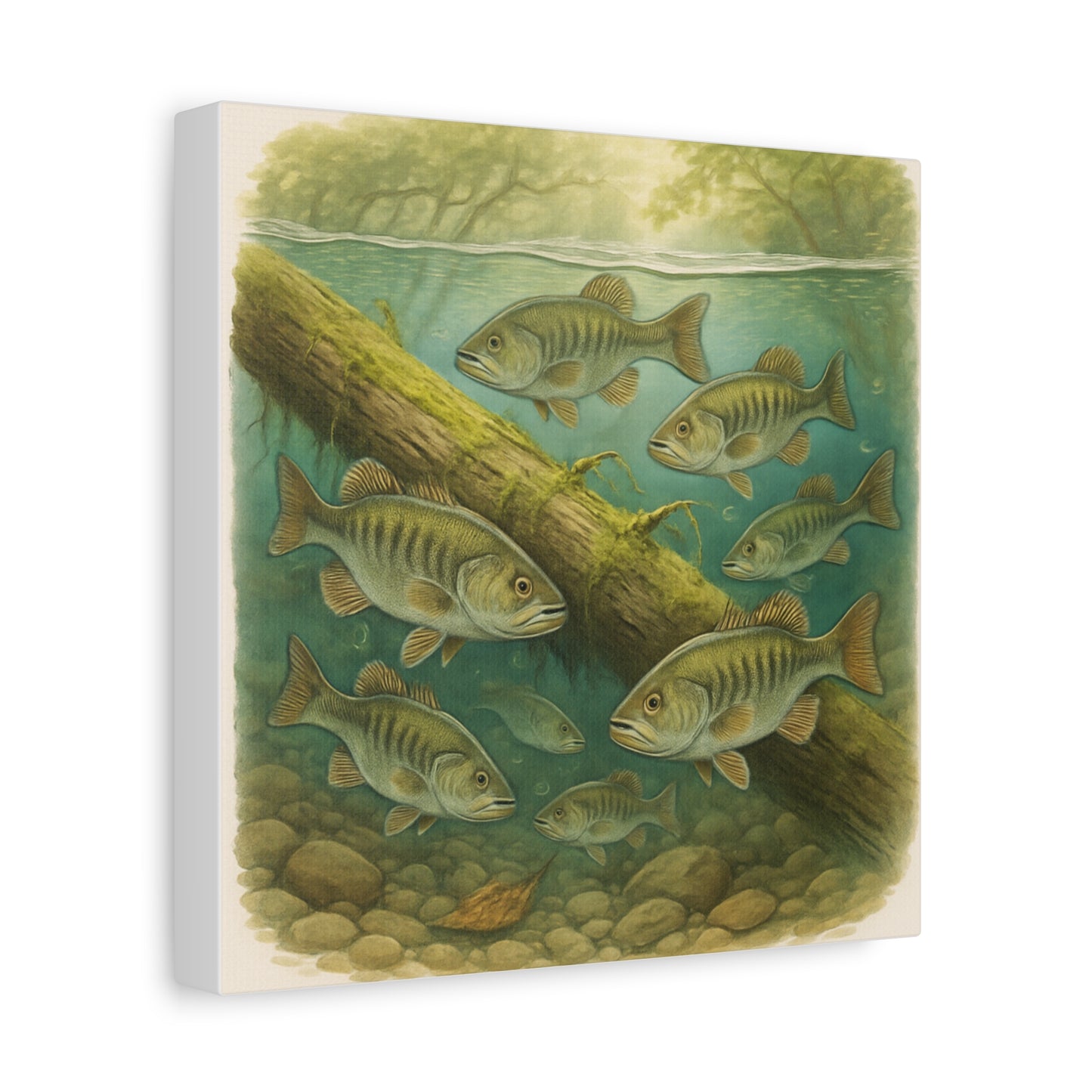 Creek Style™   Underwater Bass Canvas Art Print